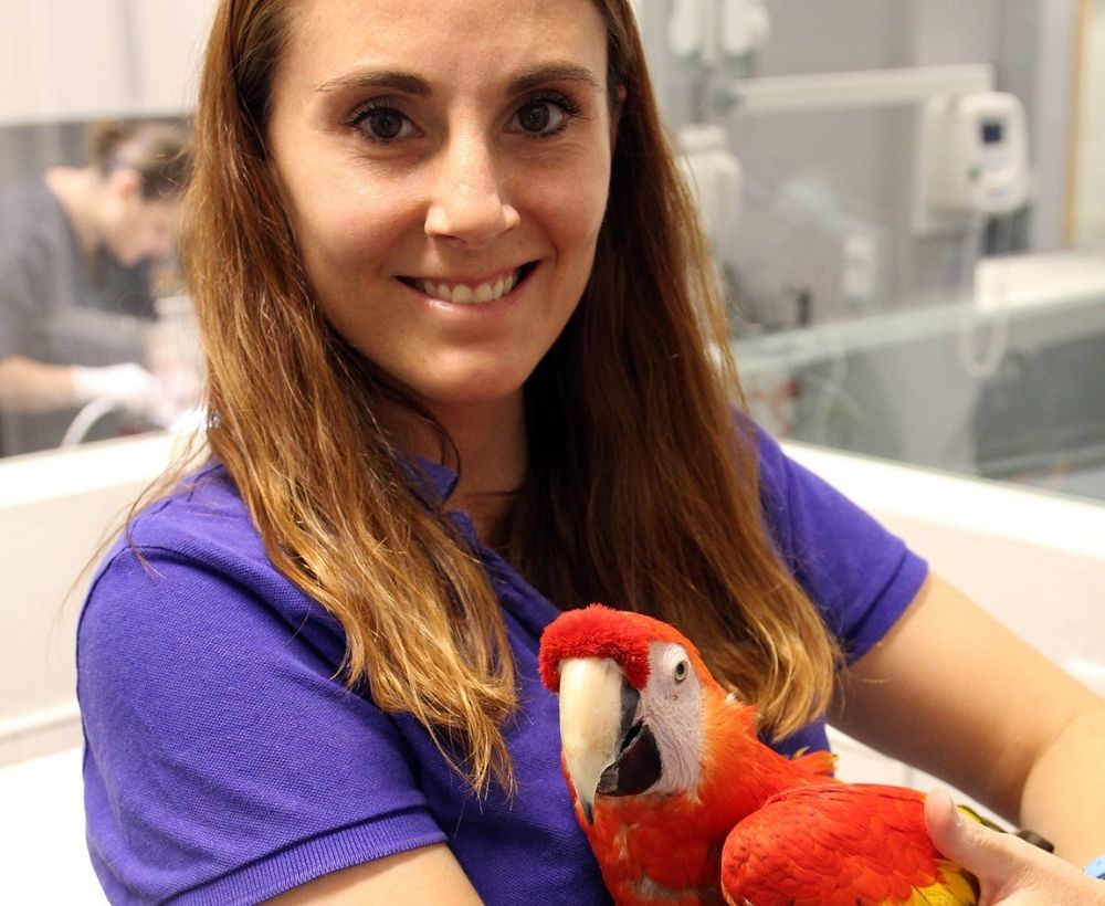 Dr. Julie holding a macaw