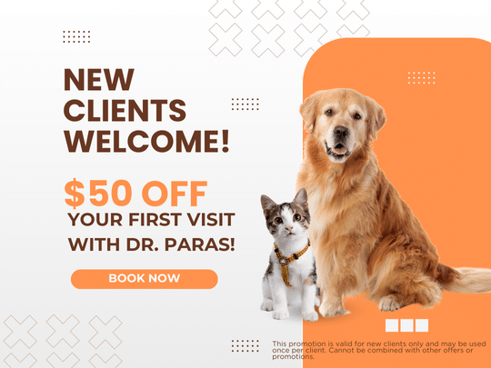 New clients welcome specials graphics