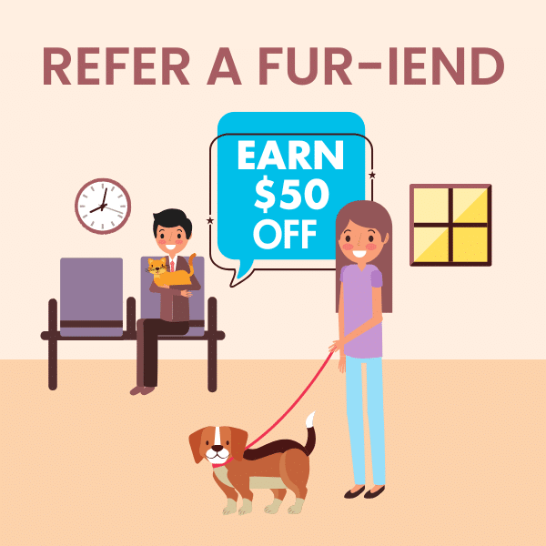 Fur-iend special graphics