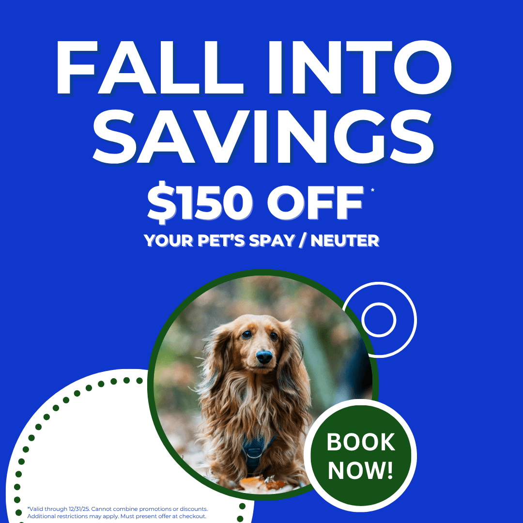 Spay and Neuter Services