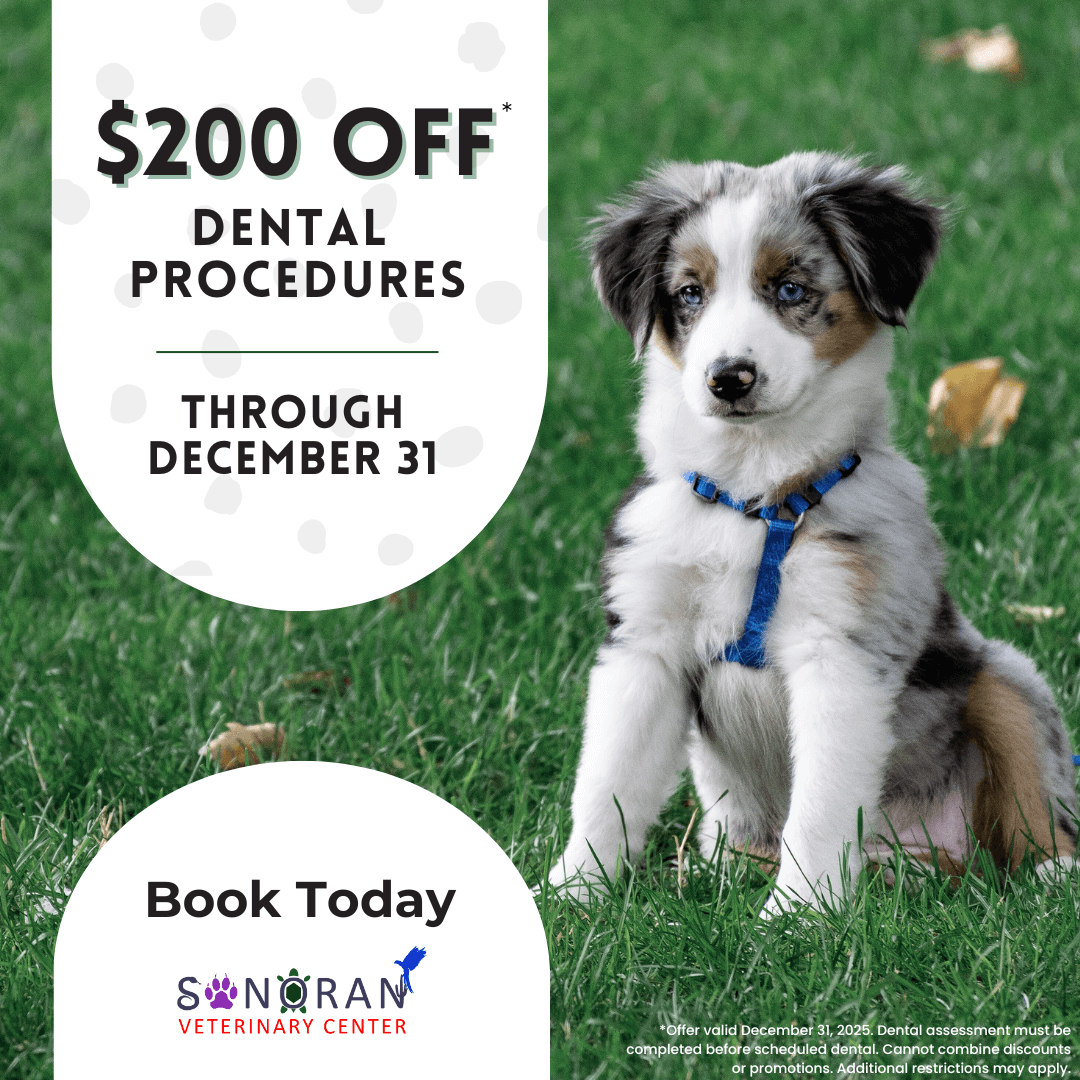 Help prevent dental disease.