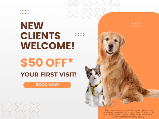 New clients welcome specials graphics