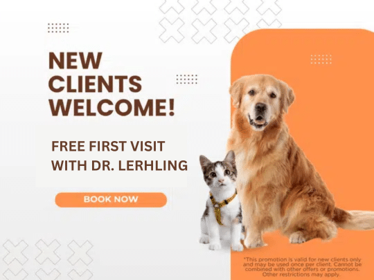 New clients welcome specials graphics